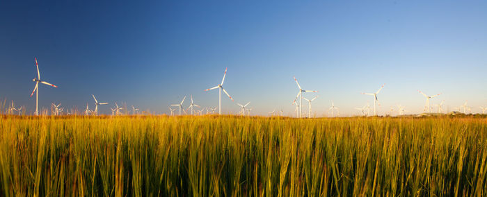 Wind turbines on field against blue sky