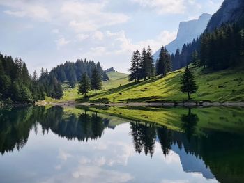 Scenic view of lake by trees against sky