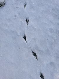 High angle view of snow covered field