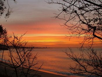 Silhouette of bare tree at sea during sunset