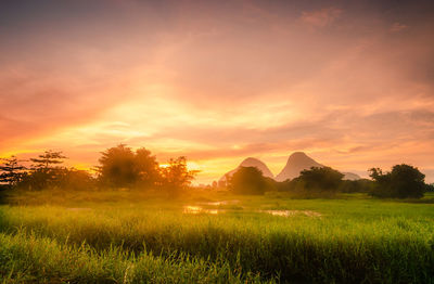 Scenic view of field against sky during sunset