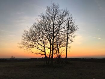 Silhouette bare tree on field against sky at sunset