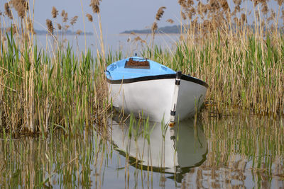 Boat on grass by lake against sky