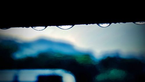 Close-up of water drops on rainy season