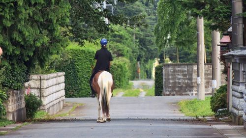 Rear view of man on street amidst trees in city