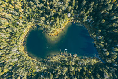 Blue lake in the middle of autumn forest from above. sup board. lake of unusual shape.