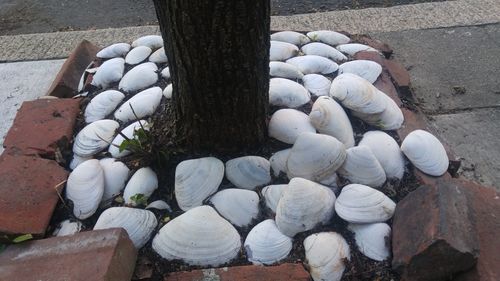 High angle view of stones on stone wall