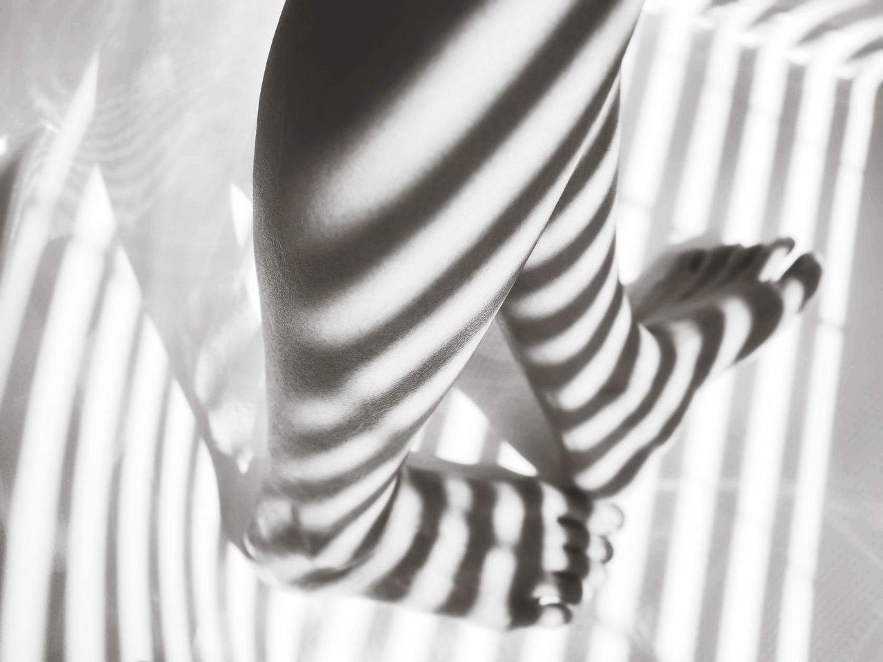 striped, black and white, one person, white, monochrome photography, midsection, indoors, shadow, monochrome, adult, arm, black, low section, pattern, sunlight, women, standing, zebra, curtain, lifestyles, human leg, clothing, close-up, day, limb