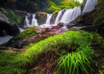 Scenic view of waterfall in forest