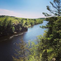 Scenic view of river amidst trees against sky