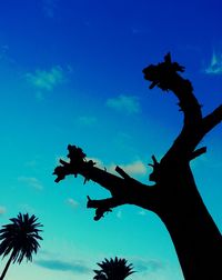 Low angle view of trees against blue sky