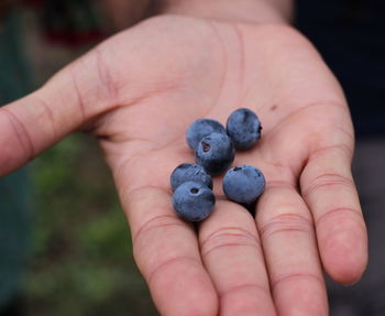 Close-up of blueberries on palm