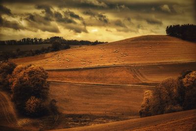 Scenic view of landscape against sky during sunset