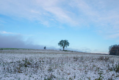 Scenic view of field against sky during winter
