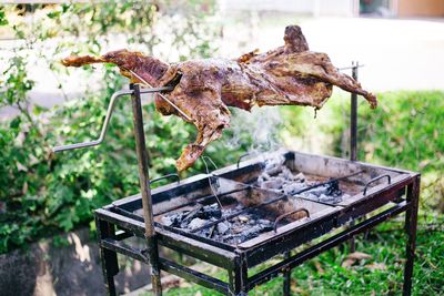 Close-up of meat on barbecue grill