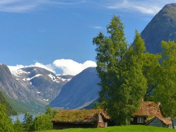 Scenic view of trees and mountains against sky