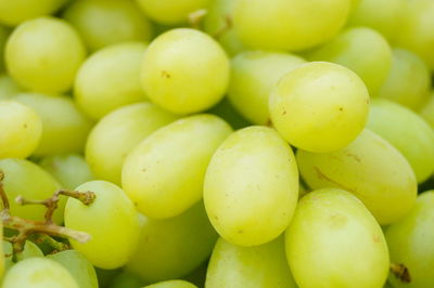 Full frame shot of fruits