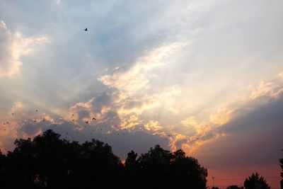 Low angle view of silhouette trees against sky during sunset