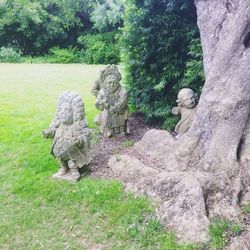 Trees growing on rock