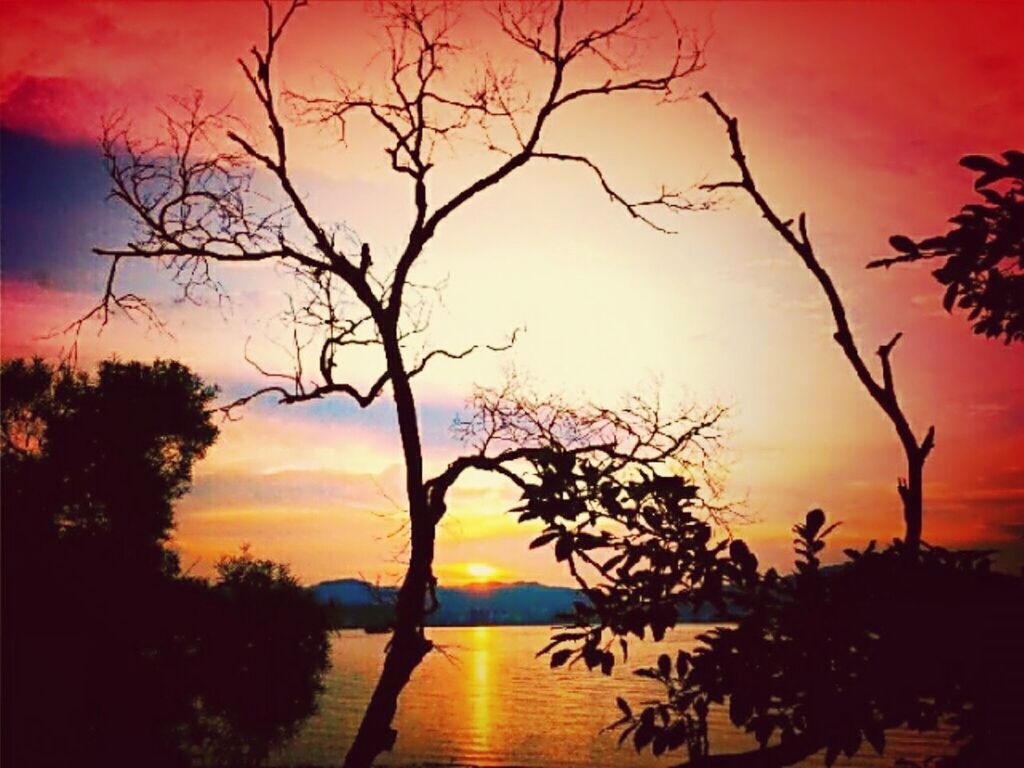 sunset, bare tree, tree, silhouette, scenics, tranquil scene, tranquility, branch, sky, orange color, beauty in nature, water, idyllic, nature, cloud - sky, horizon over water, dramatic sky, sea, majestic, lake