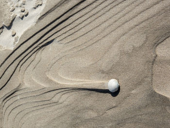 Close-up of ball on sand