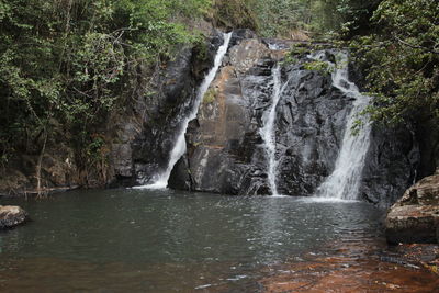 View of waterfall along trees