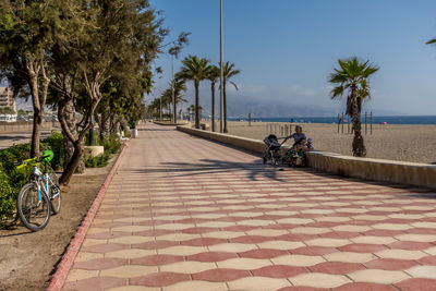 People walking on footpath by palm trees