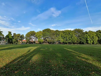 Trees on field against sky