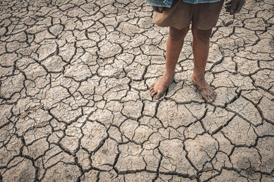 Low section of person standing on ground