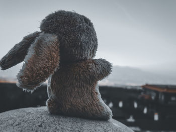 Close-up of stuffed toy on retaining wall against sky