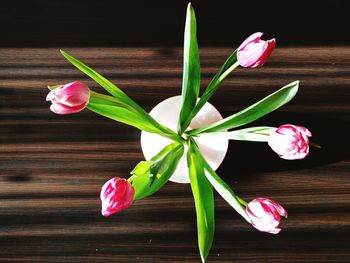 Directly above shot of tulips in vase on wooden table