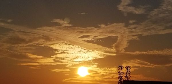 Low angle view of silhouette trees against sky during sunset