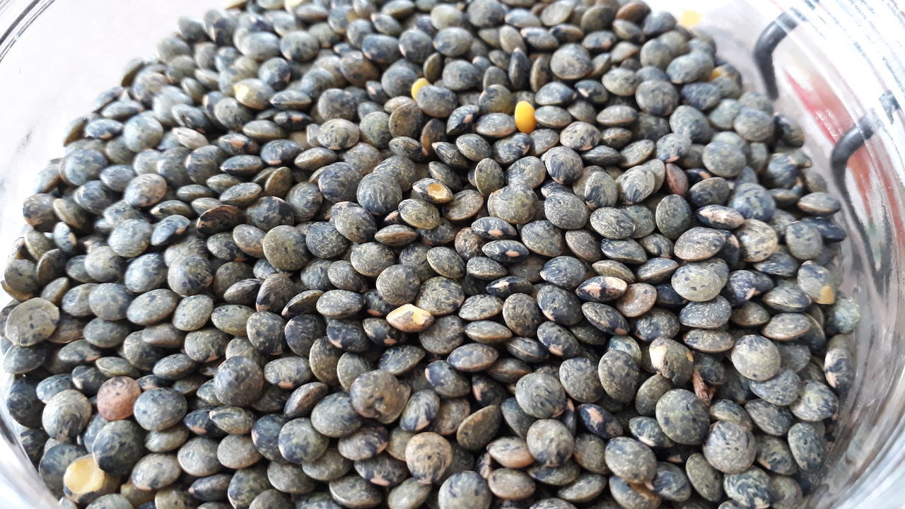 HIGH ANGLE VIEW OF COFFEE BEANS IN GLASS