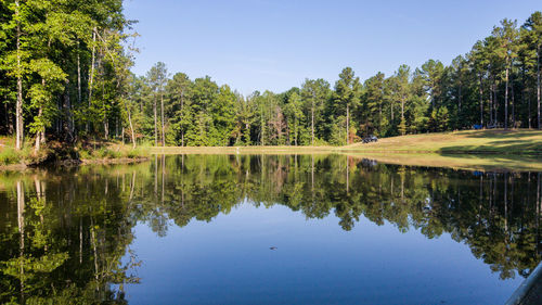 Scenic view of lake by trees against sky