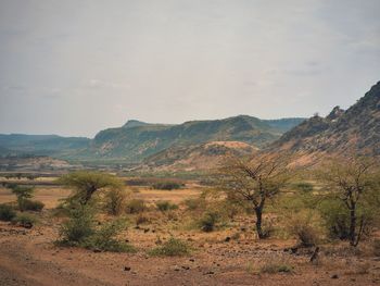 Scenic view of landscape against sky