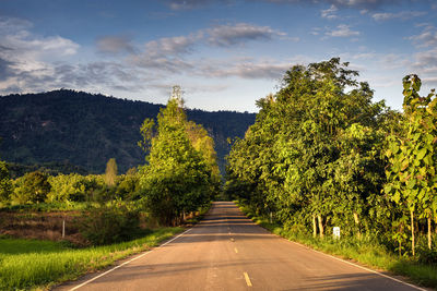 Empty road along trees and plants against sky