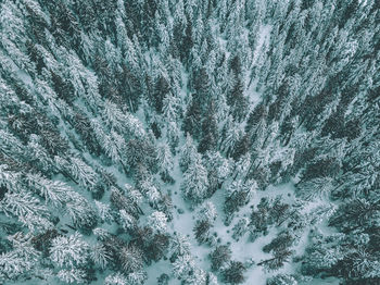 Full frame shot of snowflakes