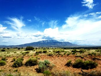 Scenic view of landscape against cloudy sky