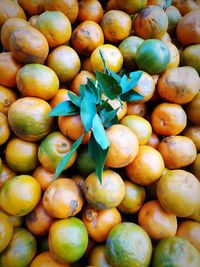 Full frame shot of fruits