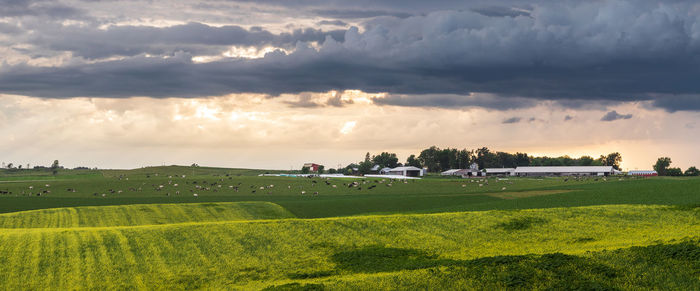 Panoramic shot of agricultural field against sky