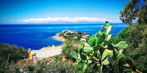 Scenic view of sea against blue sky