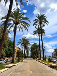 Road by palm trees against sky in city