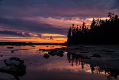 Scenic view of silhouette trees against orange sky during sunset