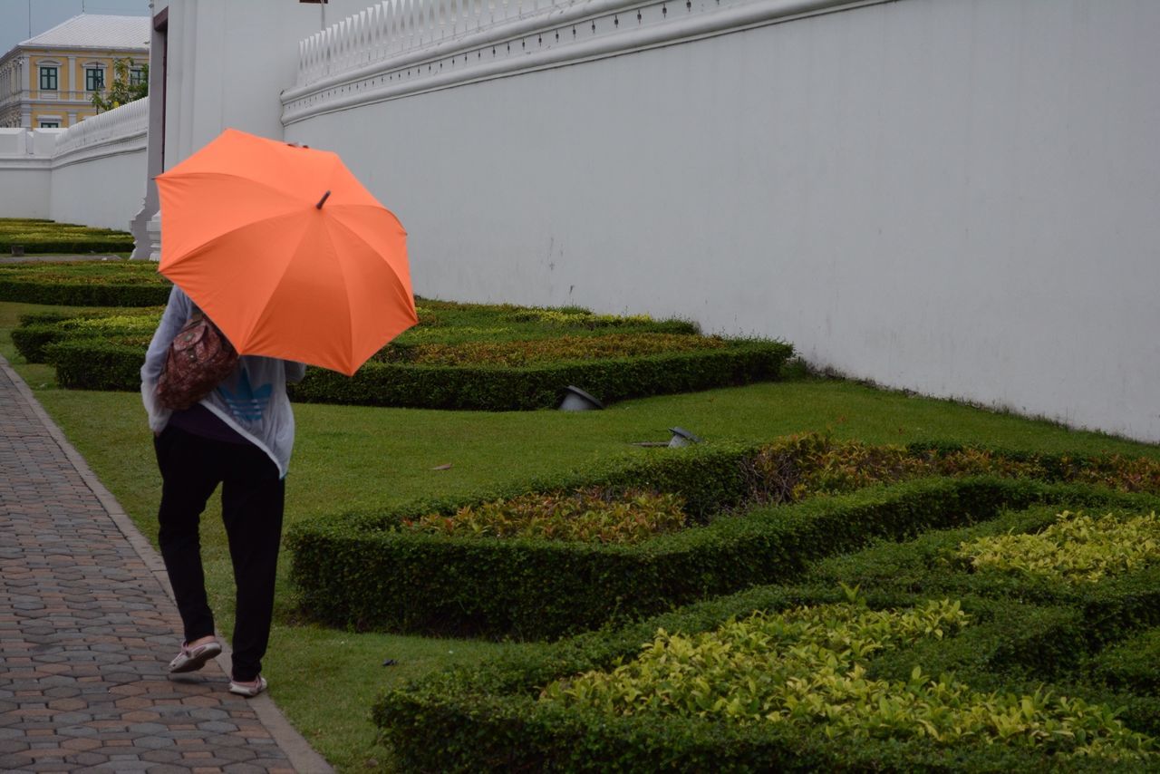 grass, lifestyles, full length, rear view, leisure activity, walking, casual clothing, standing, person, men, field, umbrella, building exterior, built structure, green color, architecture, grassy, footpath