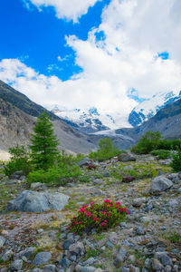 Scenic view of mountain against cloudy sky