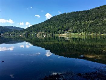 Scenic view of lake in forest against sky