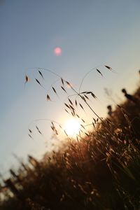 Sun shining through clouds