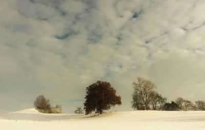 Scenic view of snow covered landscape