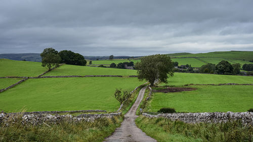 Footpath amidst trees on field against sky