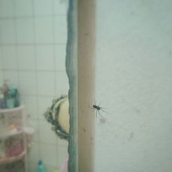 wall - building feature